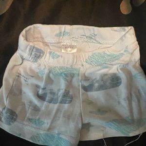 Blue whale shorts